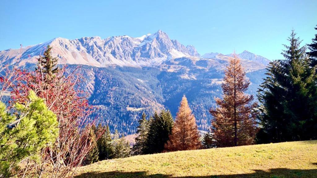 Chalet Wulli In Der Naehe Der Skianlagen Savognin Esterno foto
