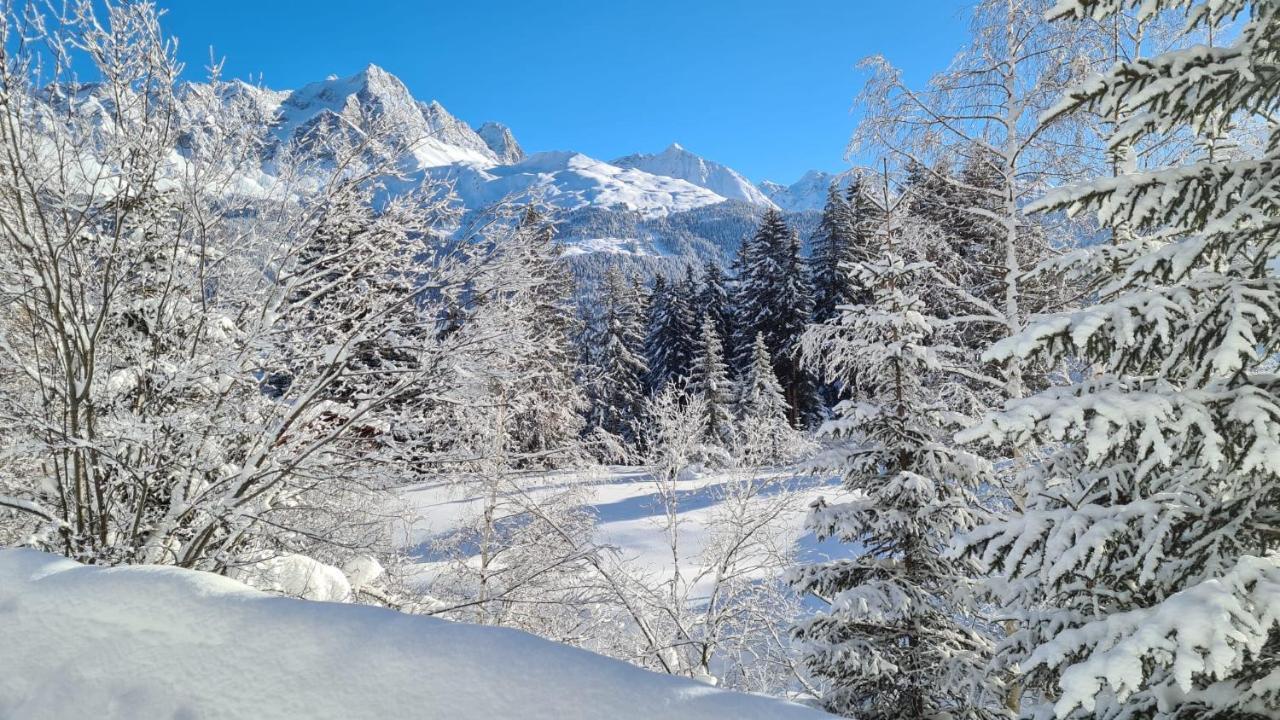 Chalet Wulli In Der Naehe Der Skianlagen Savognin Esterno foto